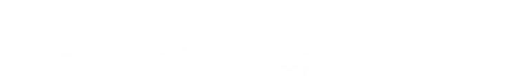 Seamless integration for efficient interoperability